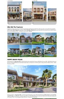 Theme wordpress bds novaland