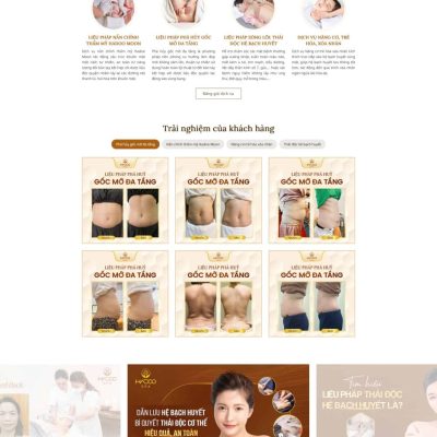 Theme wordpress spa 10